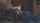 Pornstars Names or title of video