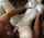 Pornstar name or video link?