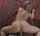 doggy teen blonde