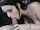 bangbus indian