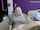 myfreecams french orgasm