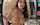 What's the name of this porn actor?