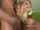 rough blonde blowjob