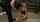 What's the name of this porn actor?