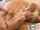 What's the name of this porn actor?