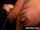 What's the name of this porn actor?