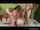 What's the name of this porn actor?