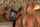 gangbang black blonde