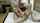 I need a good quality of this video
