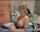 What's the name of this porn actor?