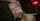 What's the name of this porn actor?