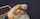 Found this Webm 720P_1500K_47386501
