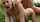 What's the name of this porn actor?