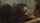 What's the name of this porn actor?