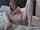 What's the name of this porn actor?