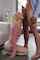 Who is the girl and what is this movie?