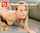 What's the name of this porn actor?