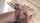 Vho is she pls?