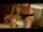 Where can I find this video?