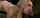 kink