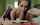 schoolgirl school pov