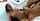 chanel preston. looking for full hd vid pls.thx