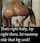 brazzers