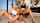 cfnm