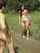 Where can I find this video?