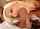 21sextury cheating