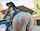 anal booty bangbros