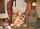 What's the name of this porn actor?