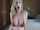 Whos this pornstar?