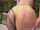 latina tease bangbros
