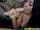 What's the name of this porn actor?