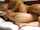 What's the name of this porn actor?