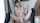What's the name of this porn actor?