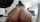 bangbros creampie czech