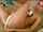 What's the name of this porn actor?