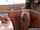 babes milf naughty america