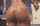 pornstar