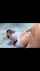 Where can I find this video?