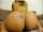 ass bangbros