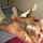 blonde pornpros strip