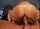 hat′s the name of this porn star?