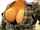 name