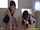 schoolgirl blowjob joi