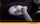 oral