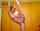 cam camgirl