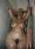 What's the name of this porn actor?